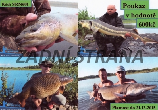 Zadní strana